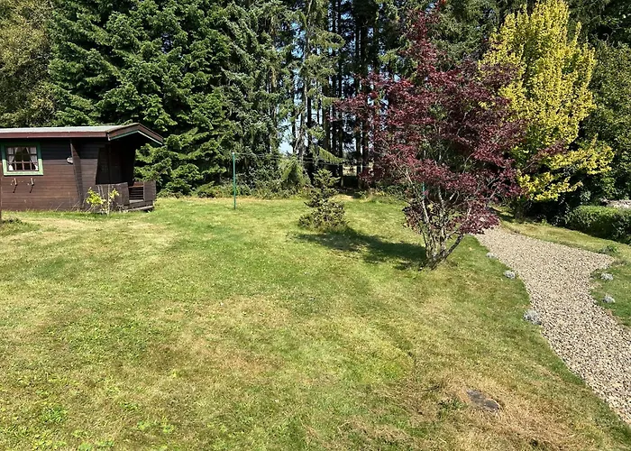 Bergwiesenblick38678